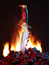 Photograph and Fire